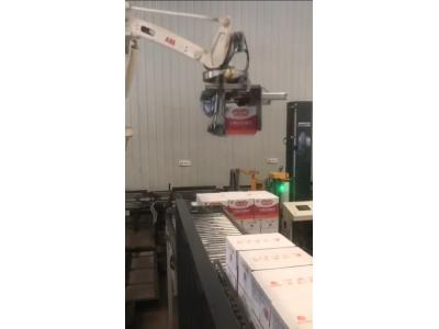 紙箱搬運碼垛機器人抓手-桁架機械手（shǒu）抓手設計定製生產